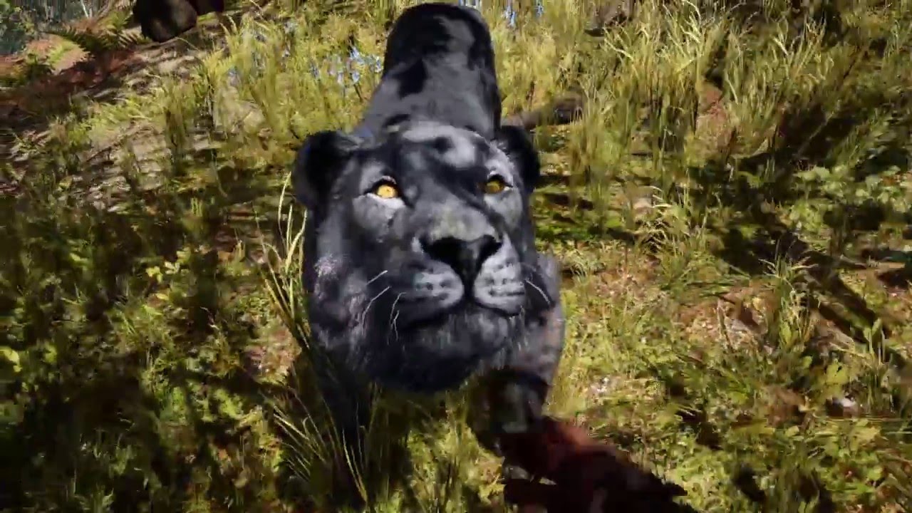 Far Cry Primal - Rare Black Lion Location
