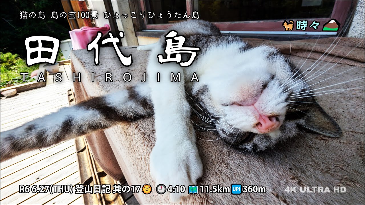 【登山日記】 R6 6.27 其の17 田代島 『猫の島』 4K