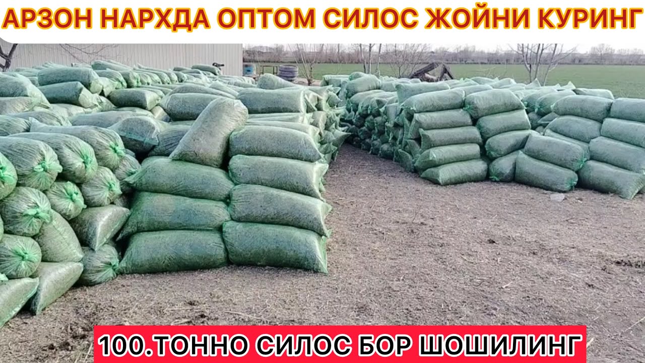 АРЗОН НАРХДА ОПТОМ СИЛОС ЖОЙНИ КУРИНГ 100.ТОННО СИЛОС БОР ШОШИЛИНГ 4-март 2026 г.