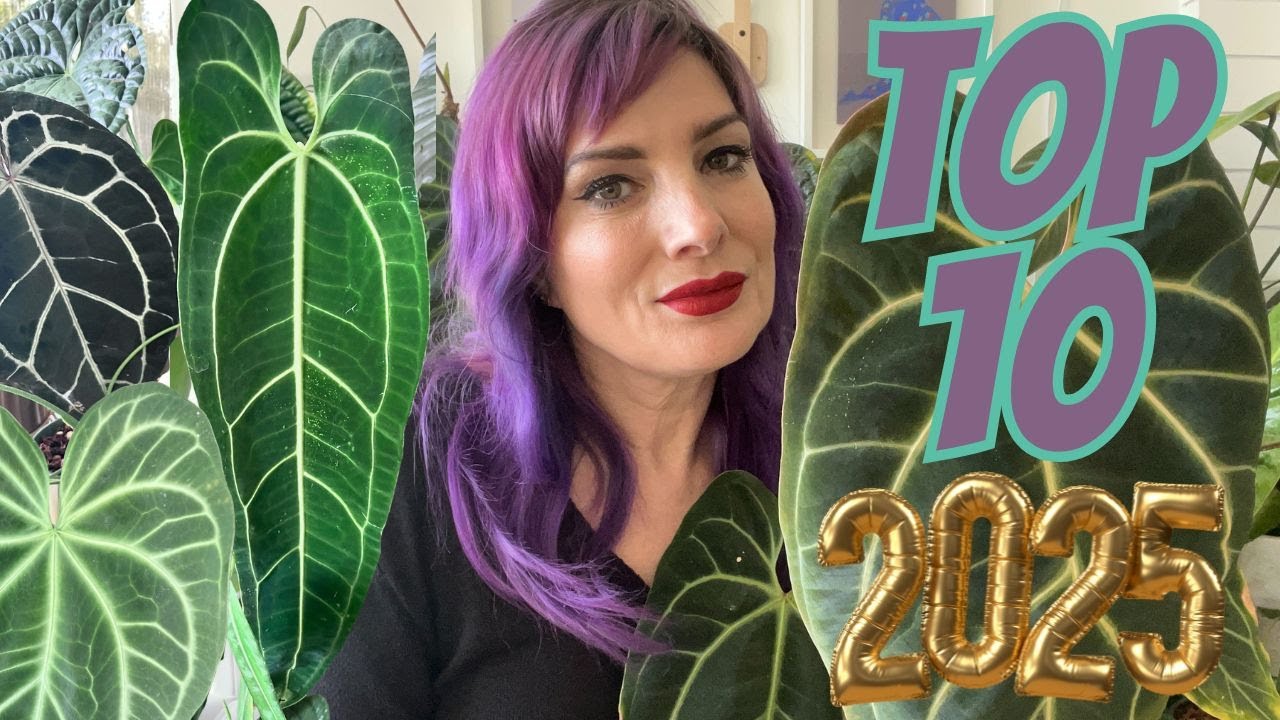 10 моих любимых комнатных растений 🪴 2025 🤩