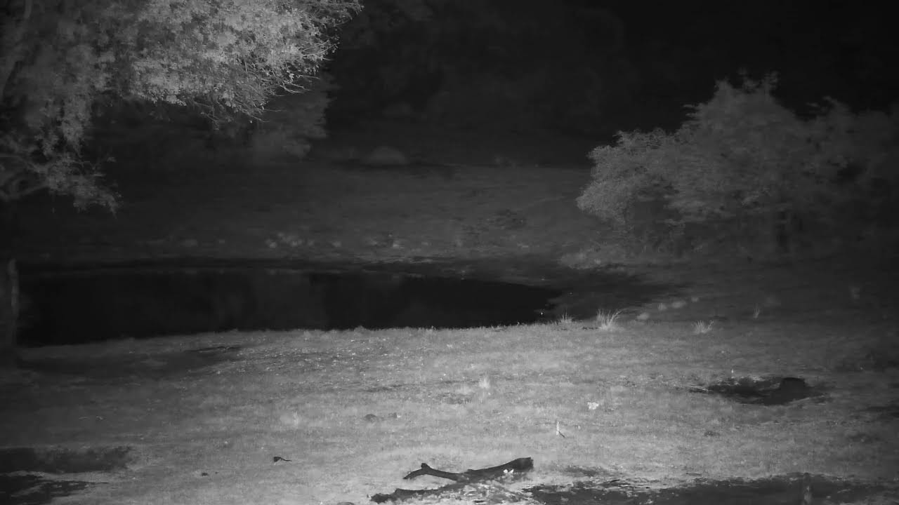 Tembe Elephant Park