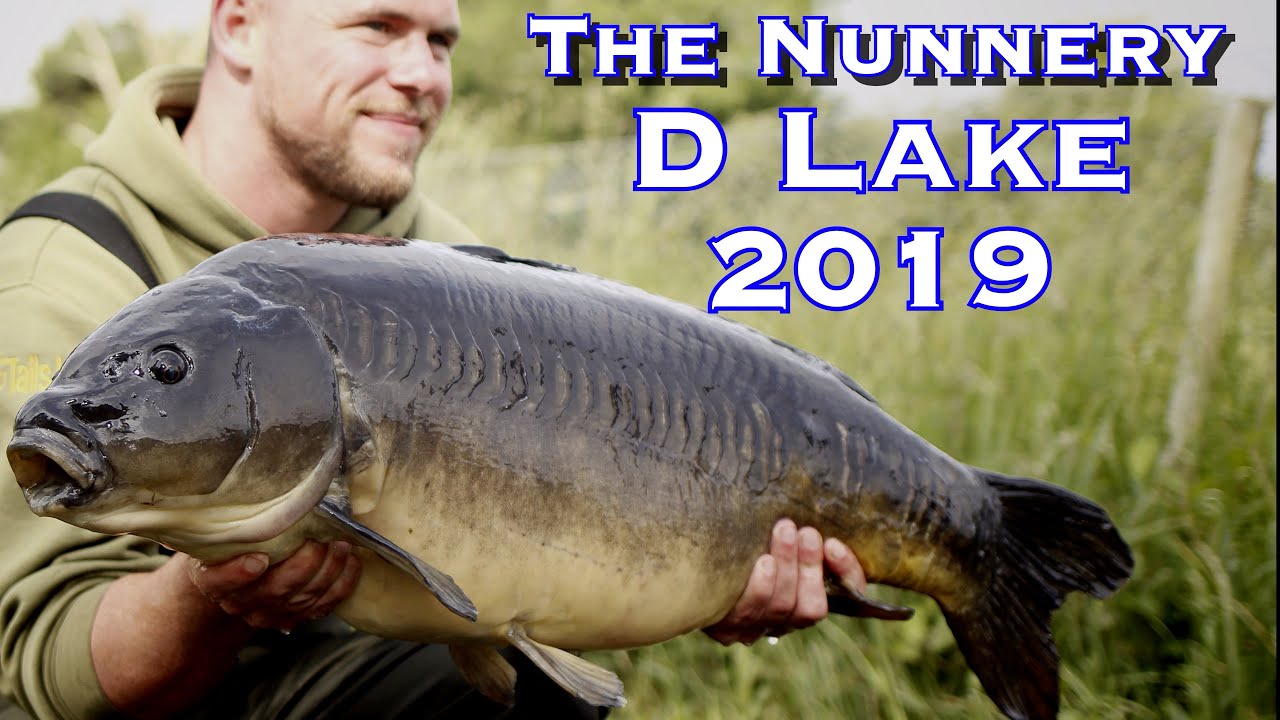 Summer Carp Fishing 2019 - The Nunnery D Lake - NS Fisheries