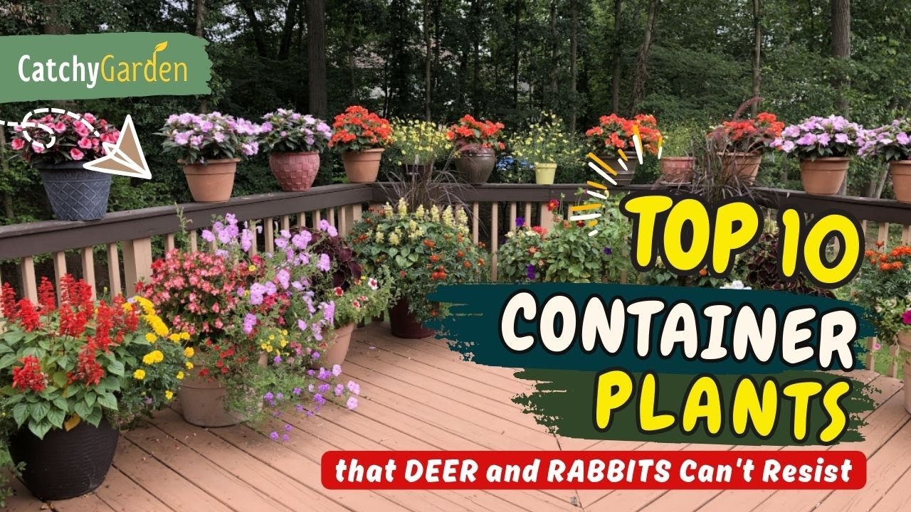 10 Container Plants that DEER and RABBITS Can't Resist! 🌿🚫🦌🌼 // Gardening Ideas