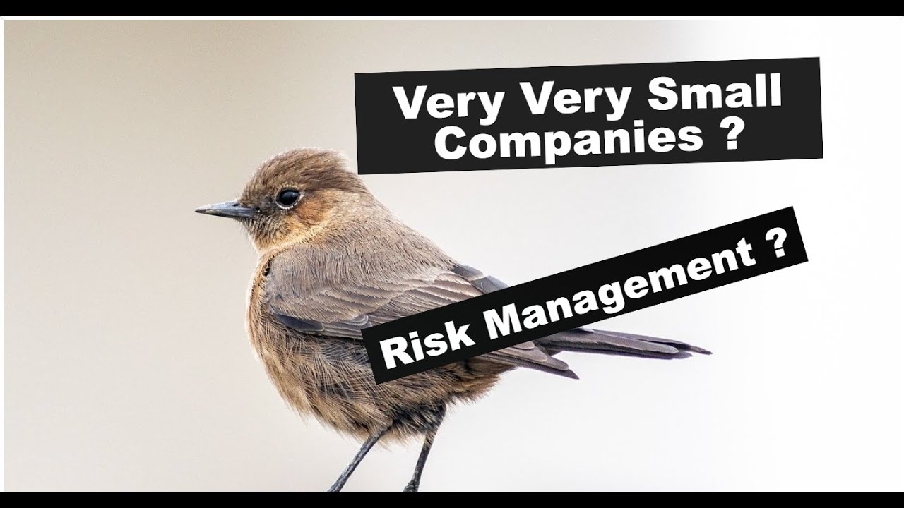 Very Very Small Companies ?Risk Management ? Lords Chloro Alkali, Medicamen, Procter & Gamble Health