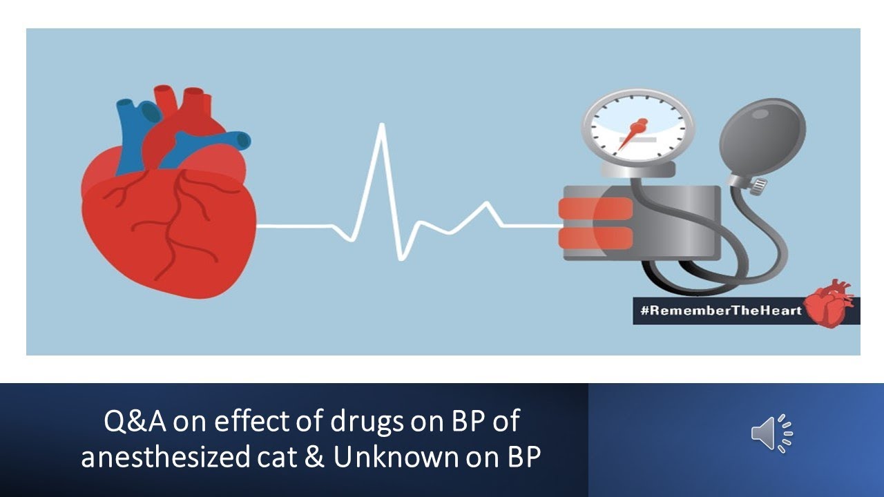 Q&A on effect of drugs on BP of anesthesized cat & Unknown on BP