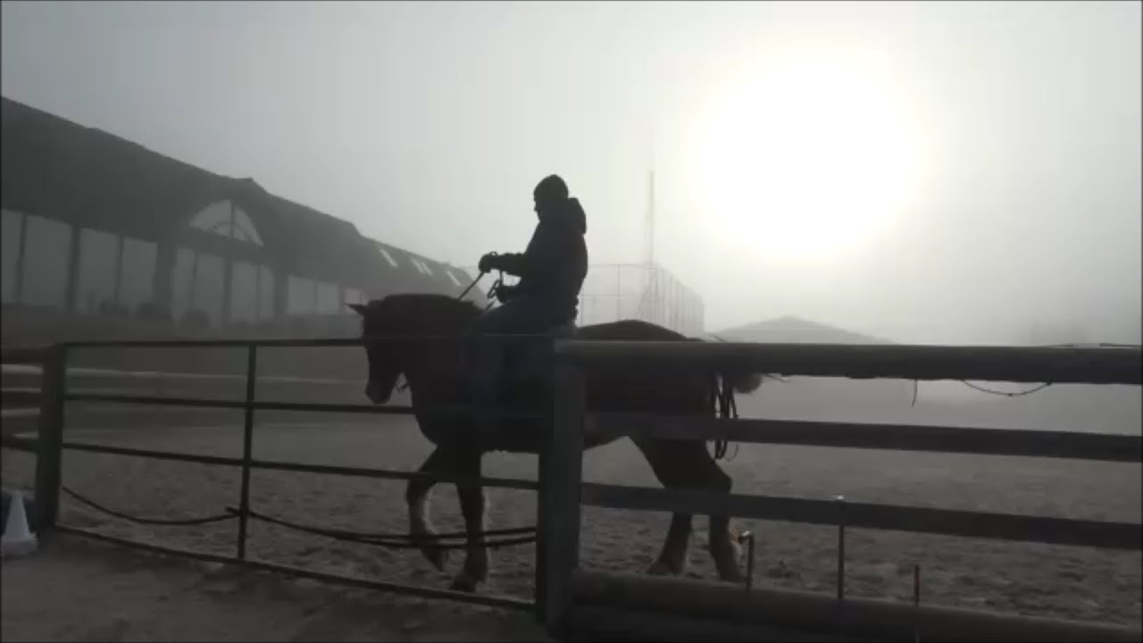 Through the mist