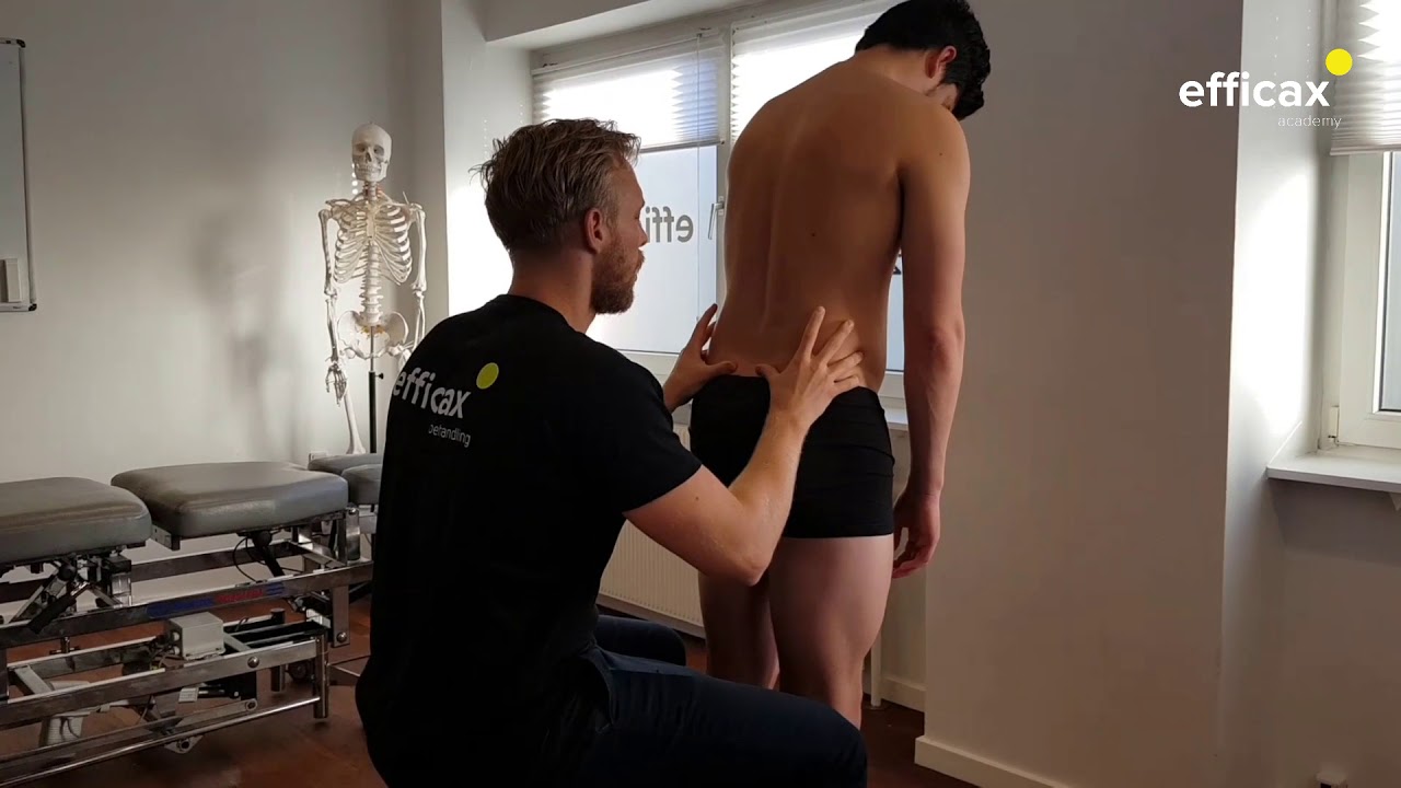 FTS (Flexion Test Standing)