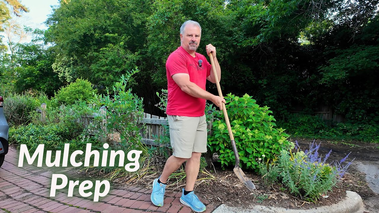 STOP Before You Mulch - Do These Things First