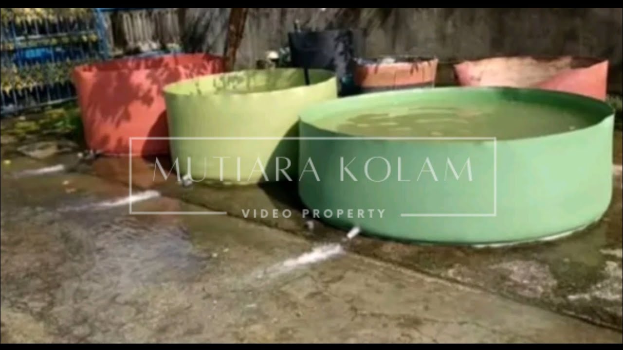 mutiara kolam.pusat pengolahan limbah karet