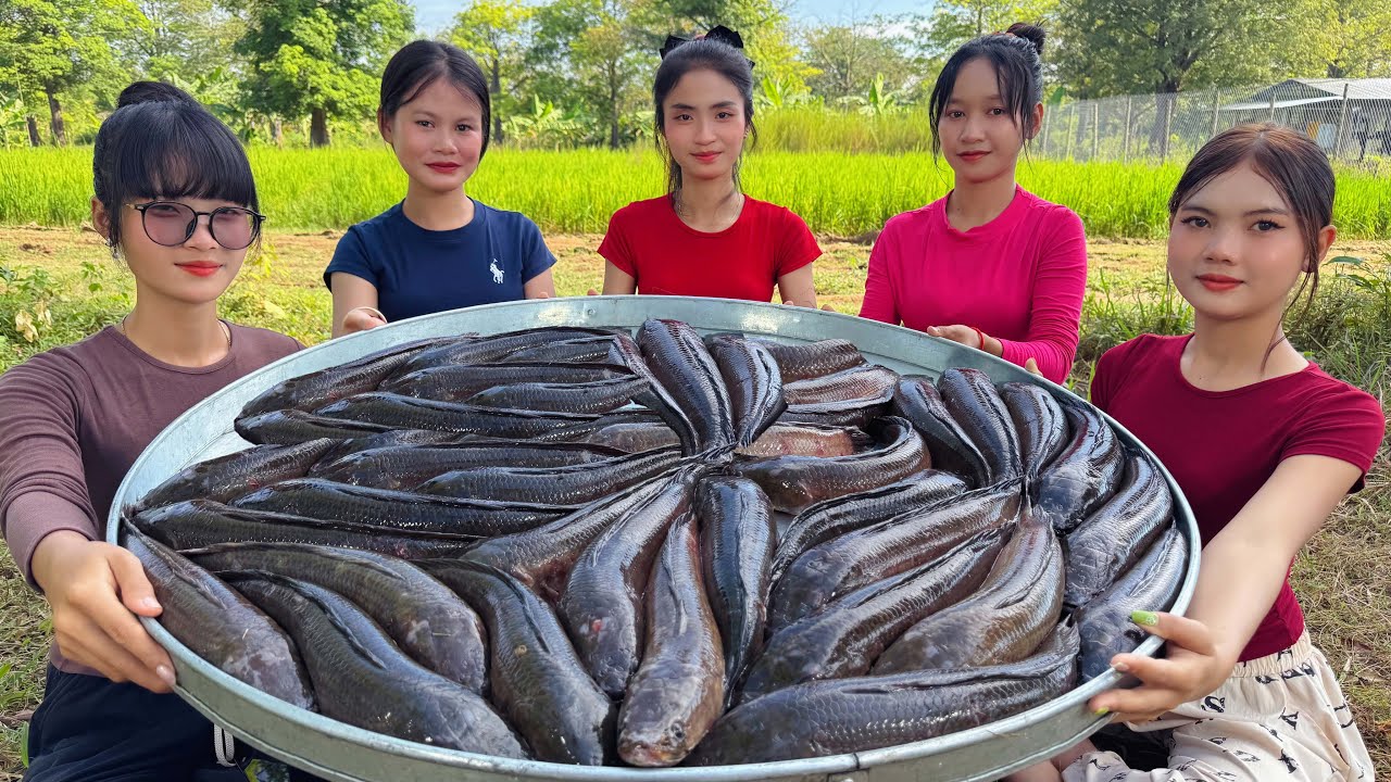Amazing cooking fish fried recipe in my countryside
