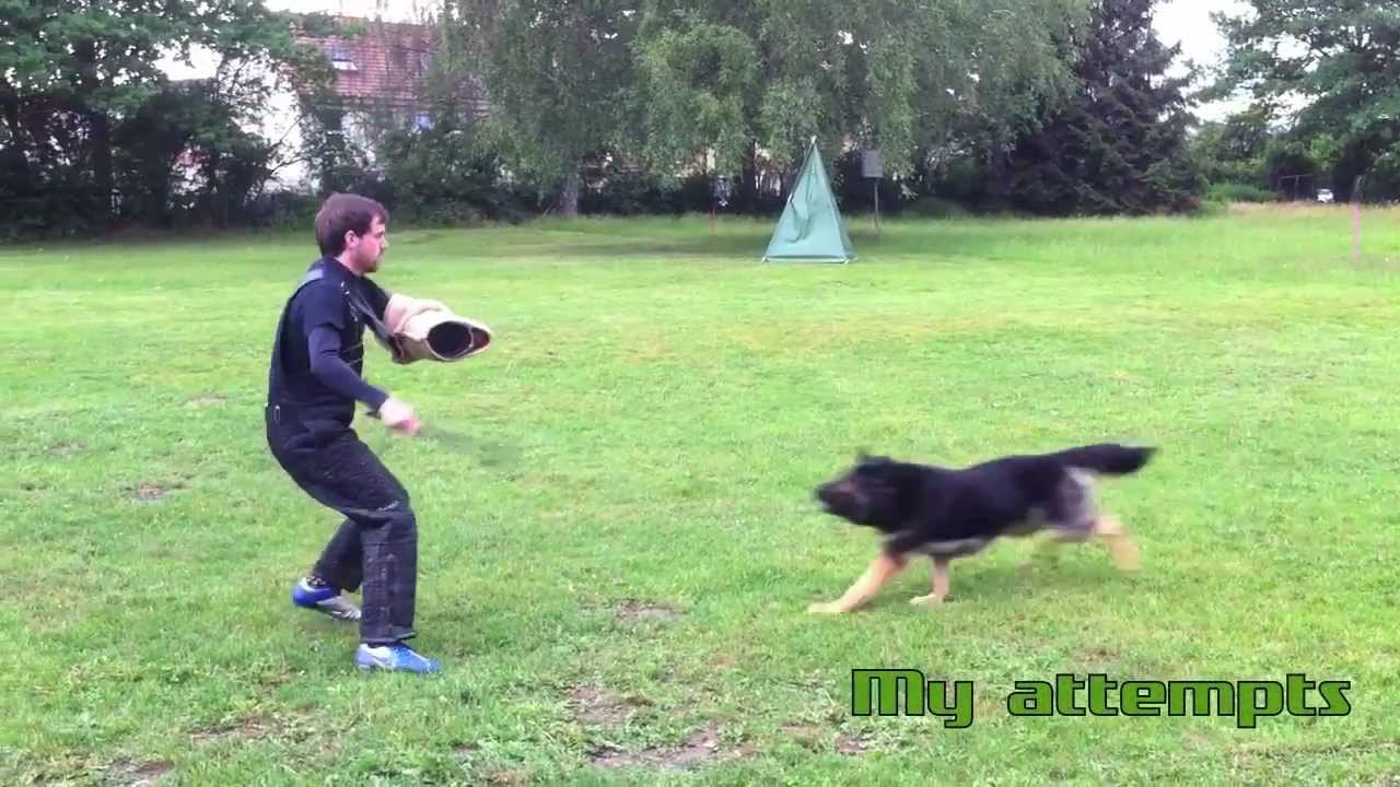 Schutzhund / IPO Protection Dog Training with Lehr-Helfer Dirk Wernet