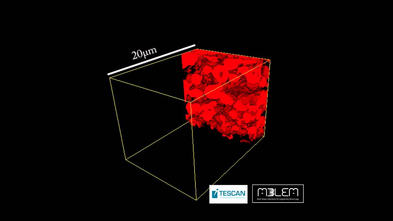 FIB SEM 3D Tomography (Reconstruction)