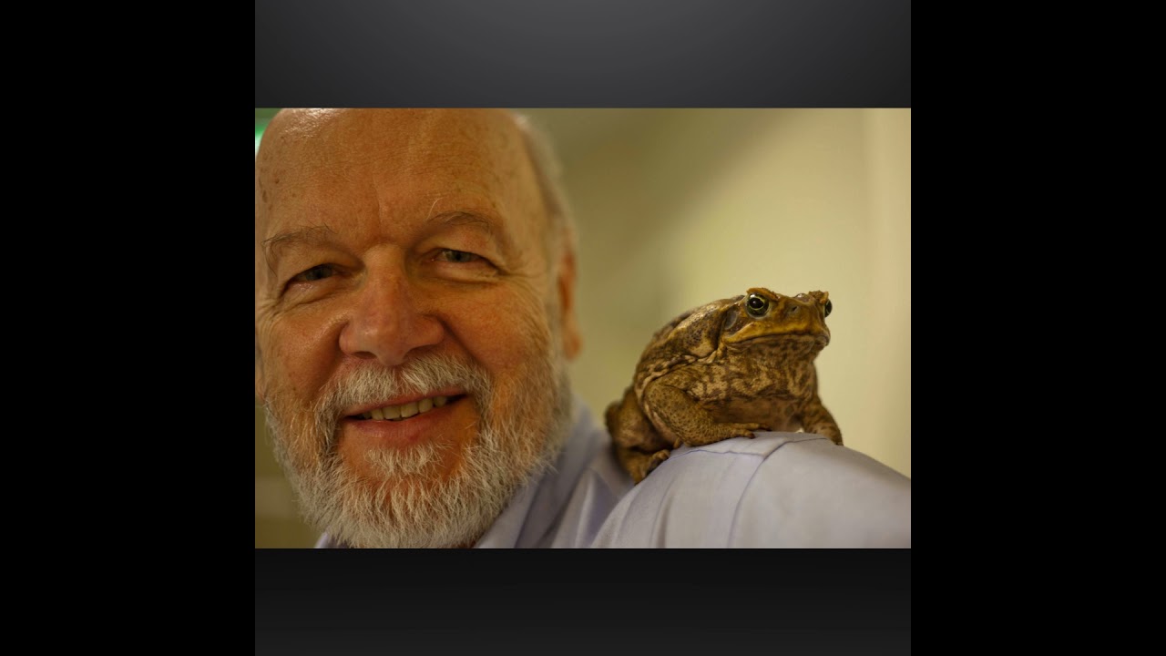 Where Are We At With Cane Toads?