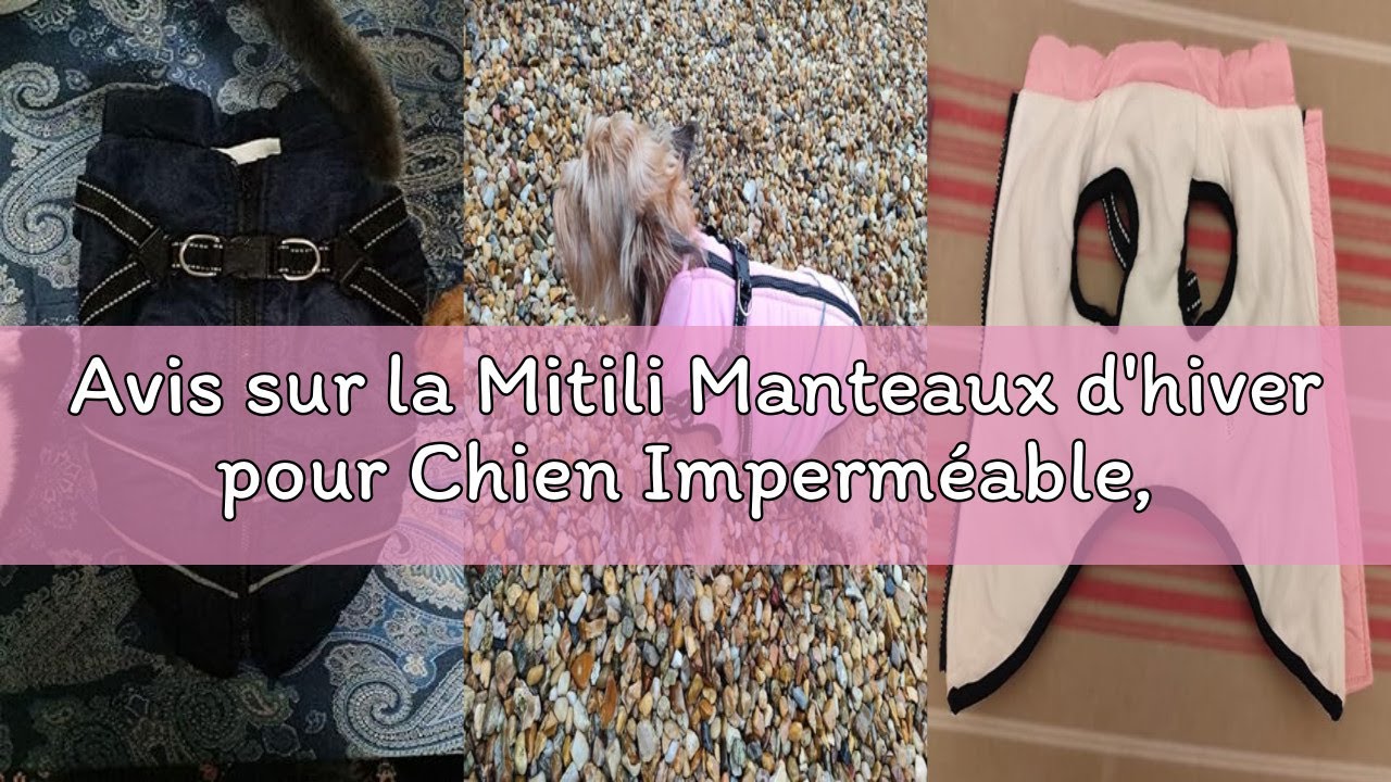 Avis sur la Mitili Manteaux d'hiver pour Chien Imperméable, Manteau Chien Hiver avec Harnais, Veste
