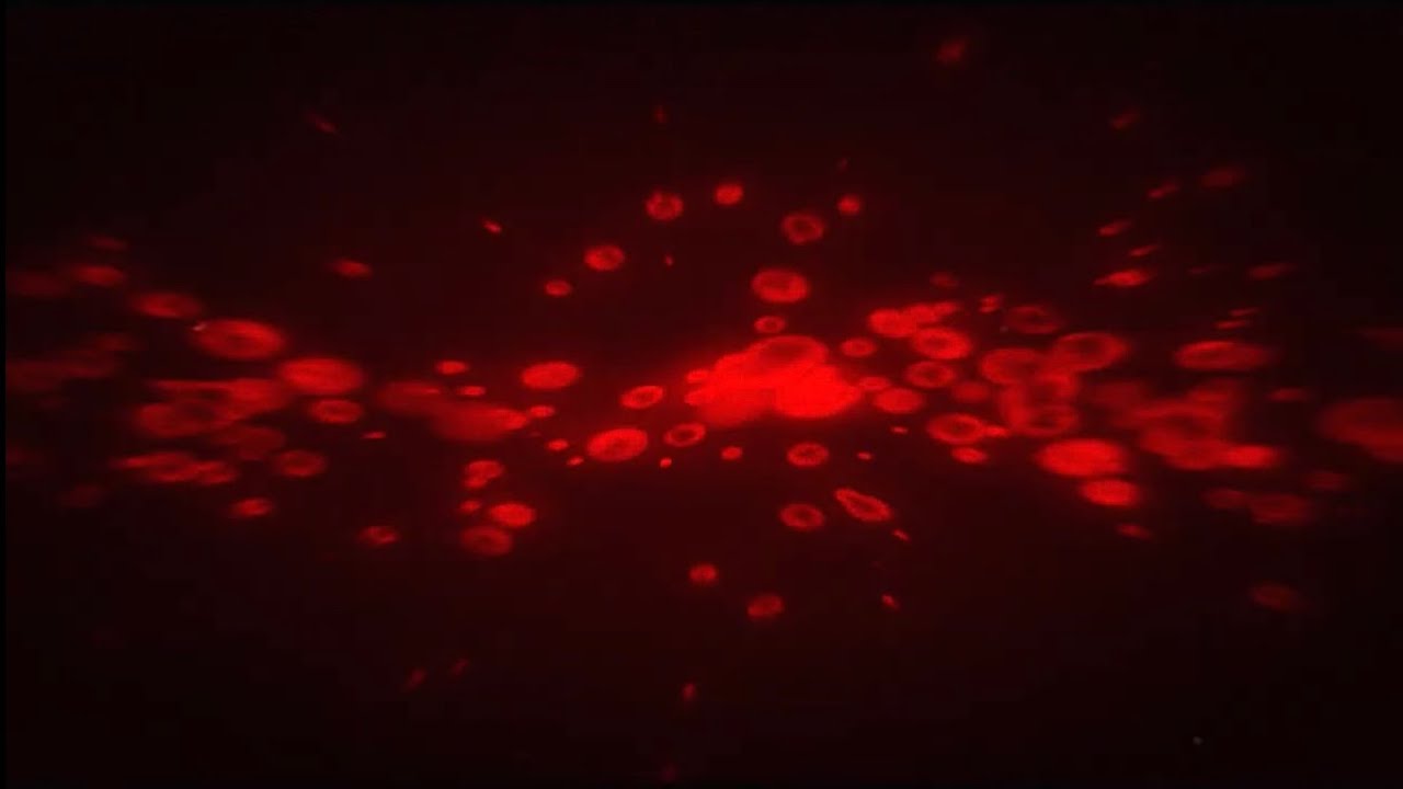 playboi carti - control (slowed + reverb)