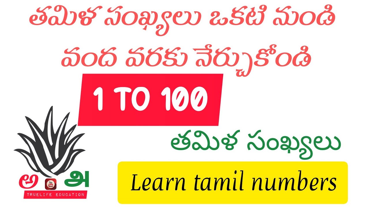 తమిళ సంఖ్యలను నేర్చుకోండి | 1 to 100 | tamil numbers | telugu explanation | matlaade tamil | telugu