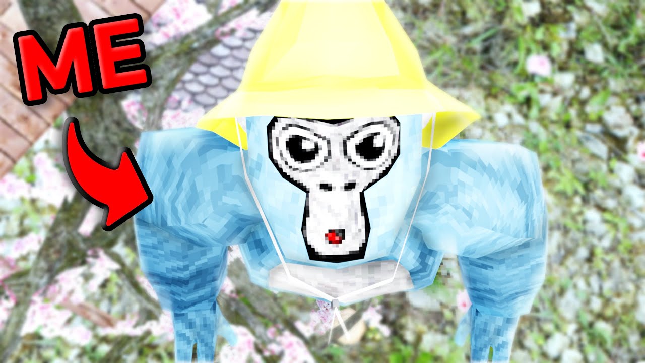 I Used Gorilla Tag's Craziest Glitches To WIN...