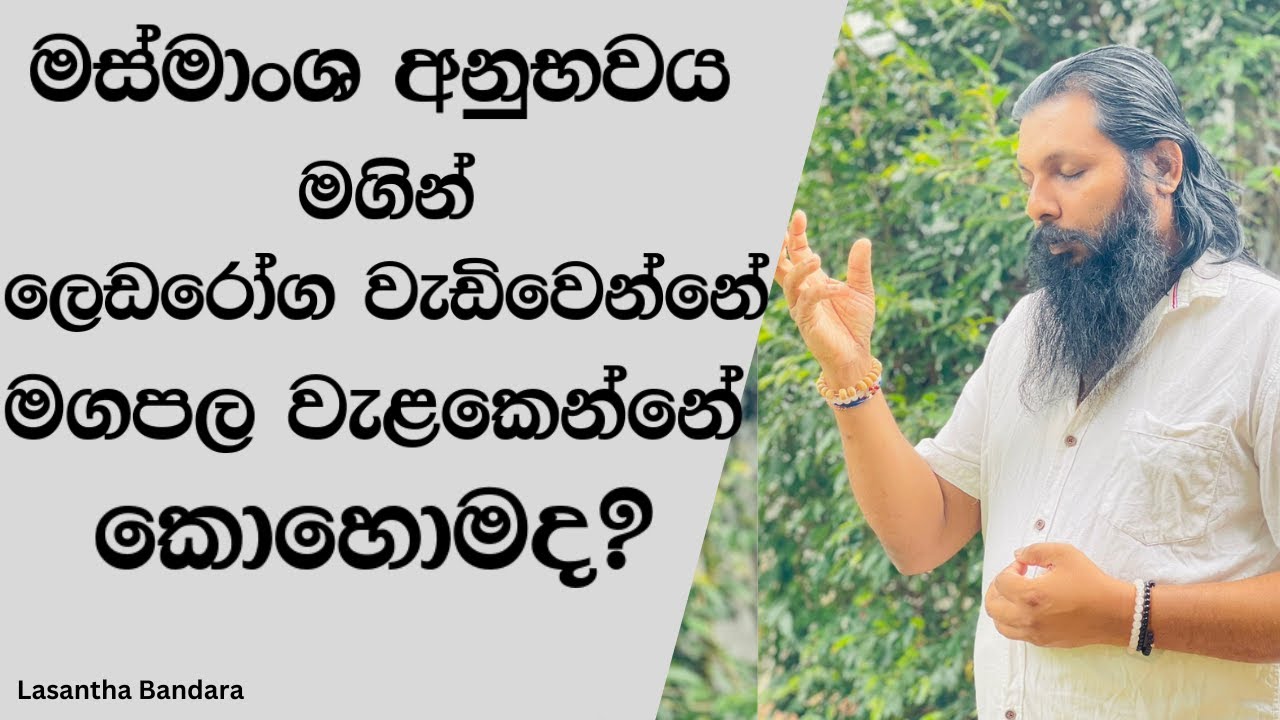 මස් මාංශ මගින් ලෙඩ රෝග වැඩි වන්නේ මාර්ගඵල වැළකෙන්නේ කොහොමද?