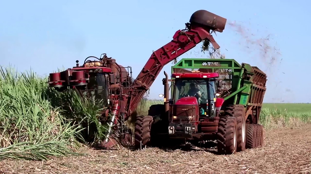 Grupo Biosev conta com a tecnologia da TMA Máquinas em sua produção!