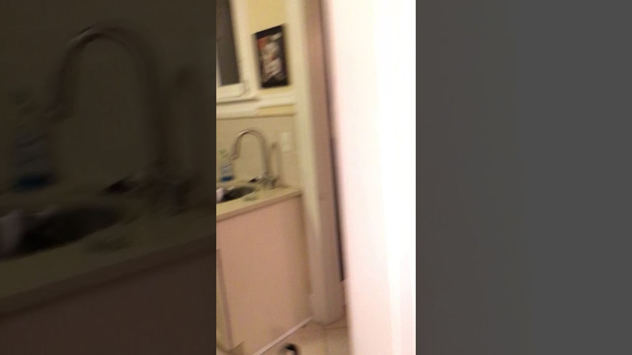 Surprising my girlfriend with a puppy!! Right before I proposed to her.