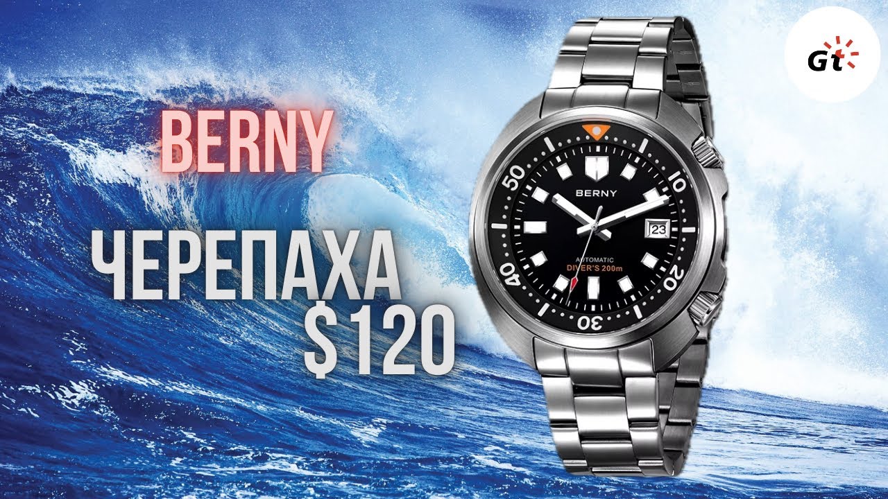 ПЛОСКАЯ ЧЕРЕПАХА! Berny Turtle