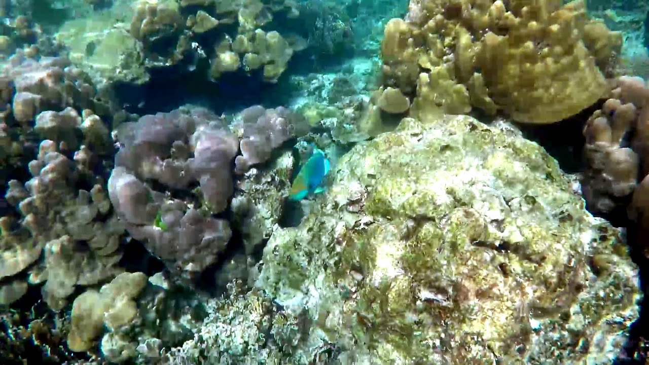 Krabi 2019