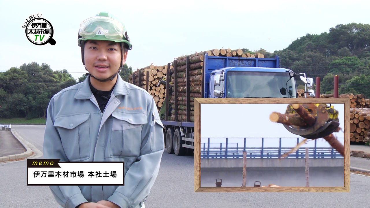 伊万里木材市場のお仕事ってこんなこと！