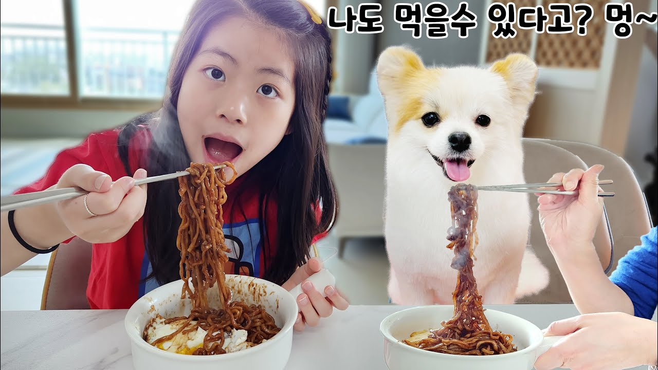 강아지가 먹을 수 있는 짜장면이 있다네요 ~~ 서은이의 강아지 간식 멍짜장 이야기