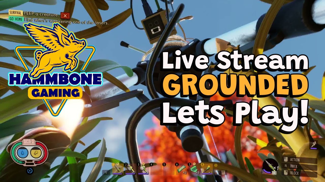 Grounded | In the Hedge Base | EP 6 - Live Stream