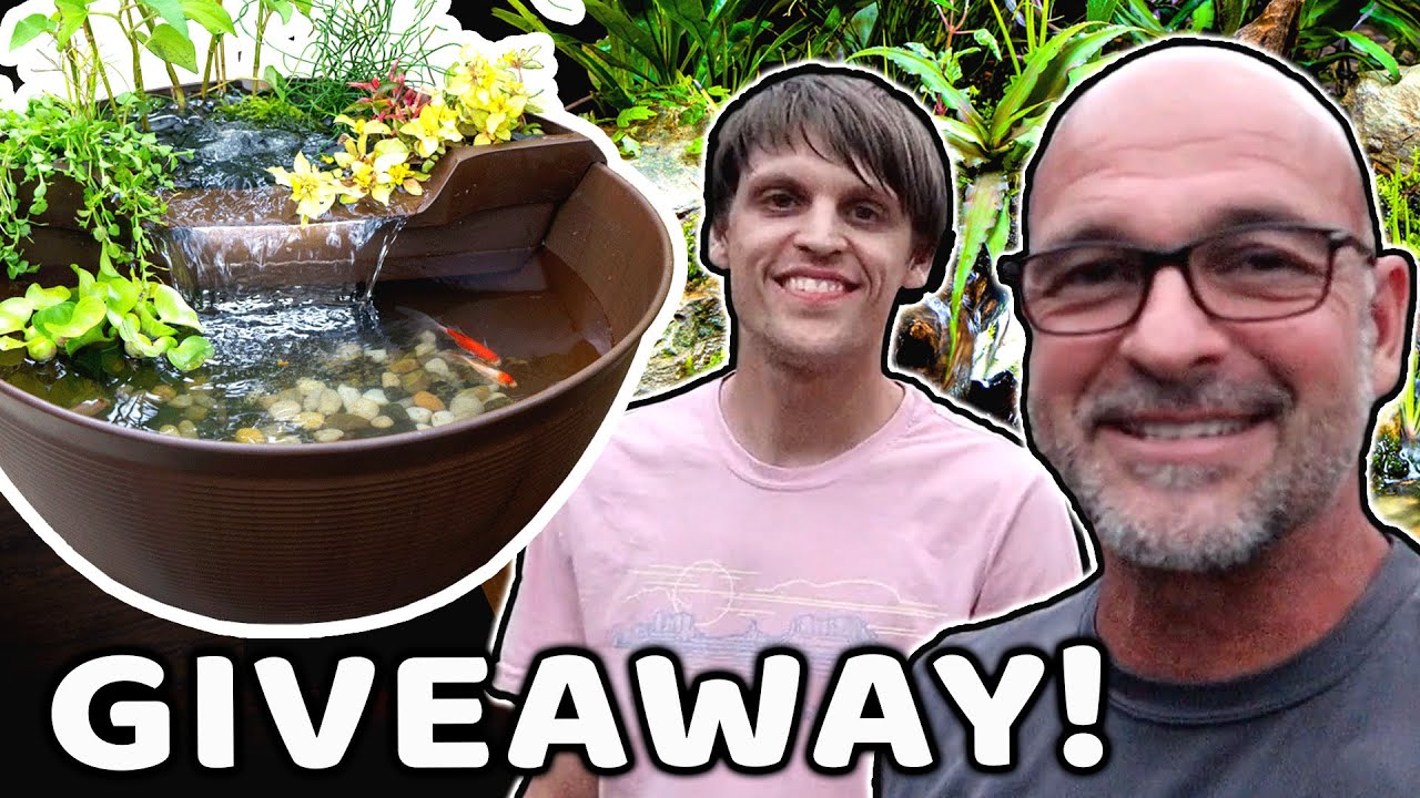 YOU Could Win an *AQUAGARDEN MINI POND KIT*