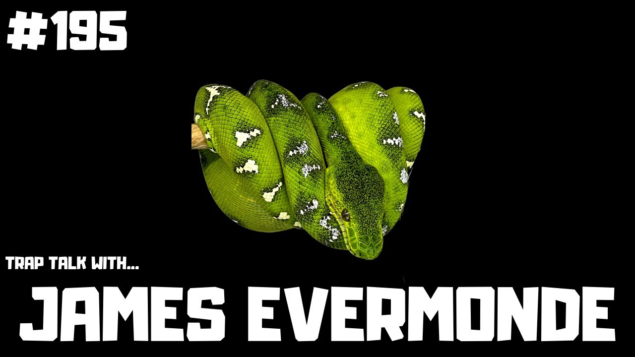 #195 JAMES EVERMONDE | NORTHERN EMERALD TREE BOA BREEDER | BOA CONSTRICTORS