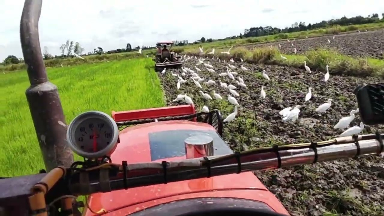 มาดูกันโดนหลอกมาปั่นนา