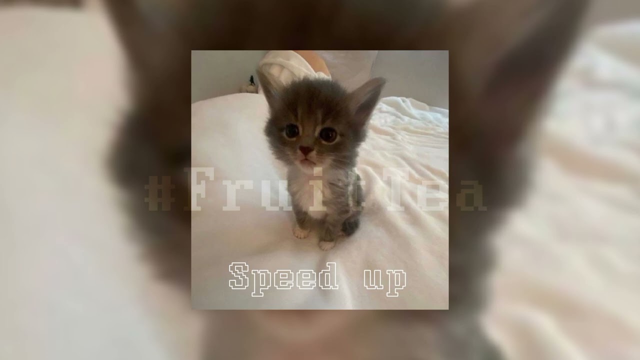 Ap$ент - можно я с тобой? Speed up @FruitTea_1