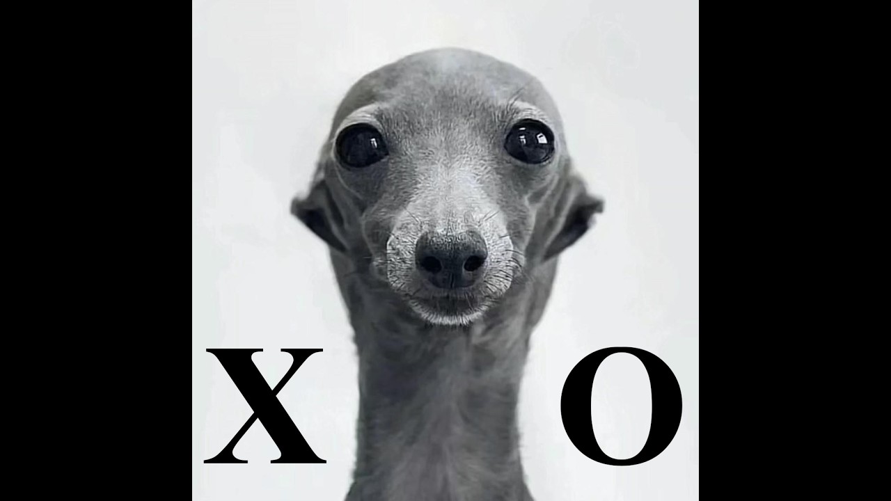 Lowkey NA's last hope... X's and O's... -L4D2