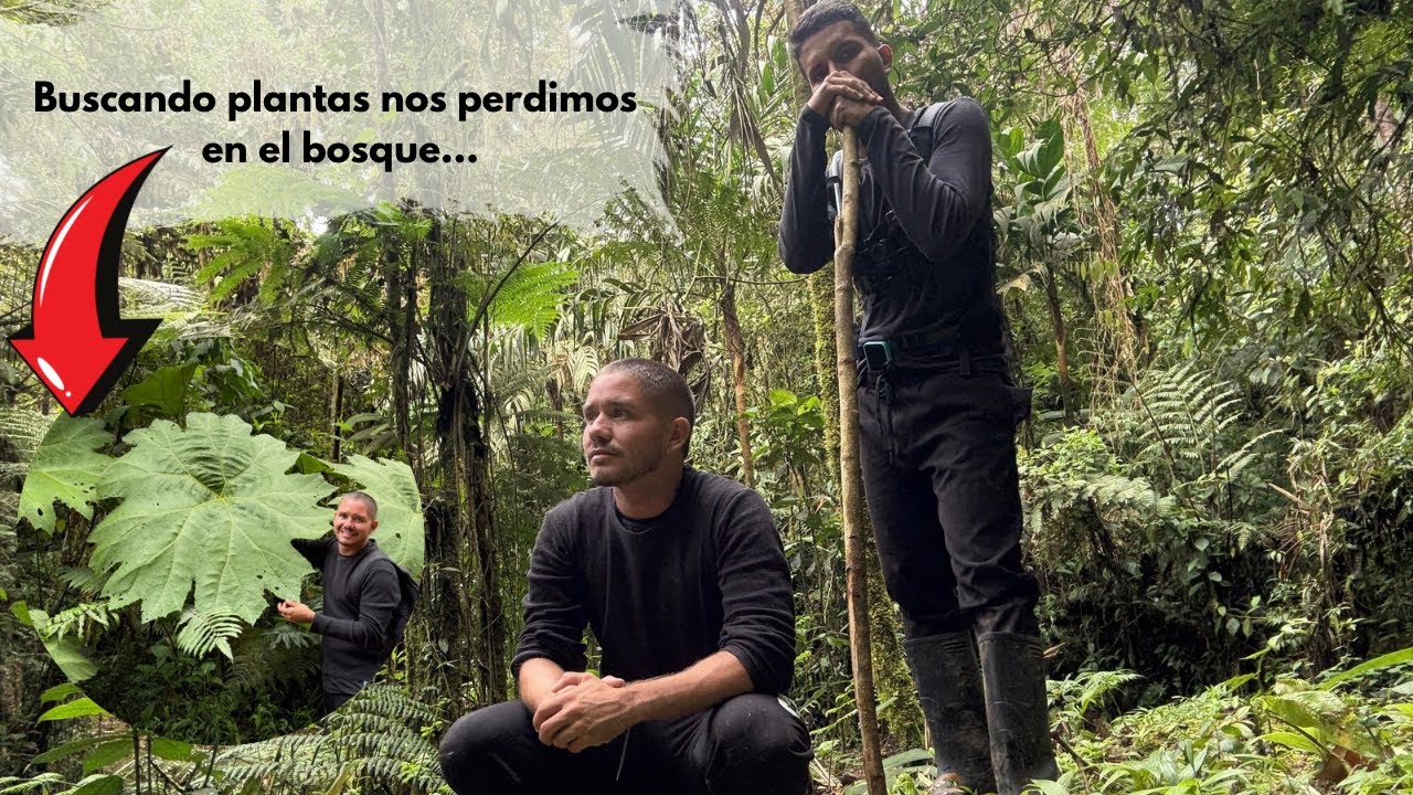 BUSCANDO PLANTAS NOS PERDIMOS EN LA SELVA COLOMBIANA