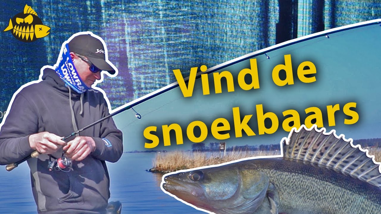 Zo vind je snoekbaars met de fishfinder – Jan Boomsma kijkt onder water