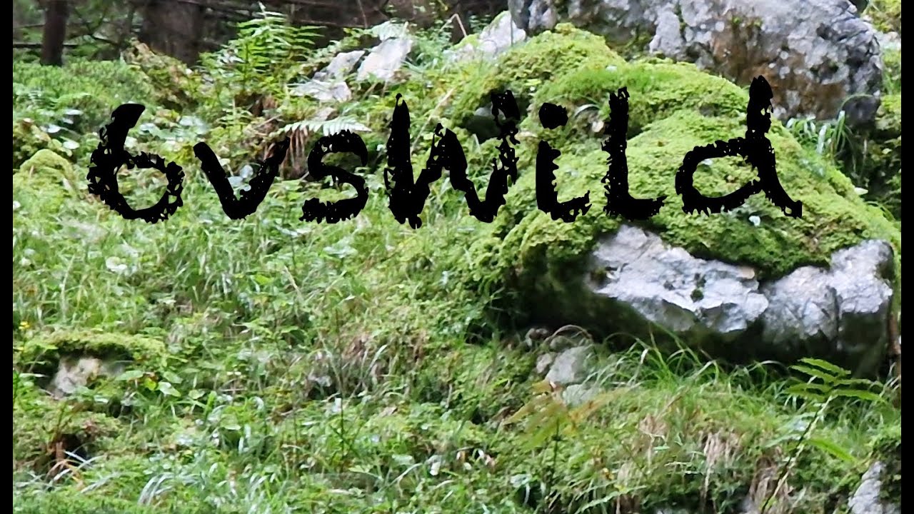 6vsWild!! 7 Tage outdoor in Österreich 2022
