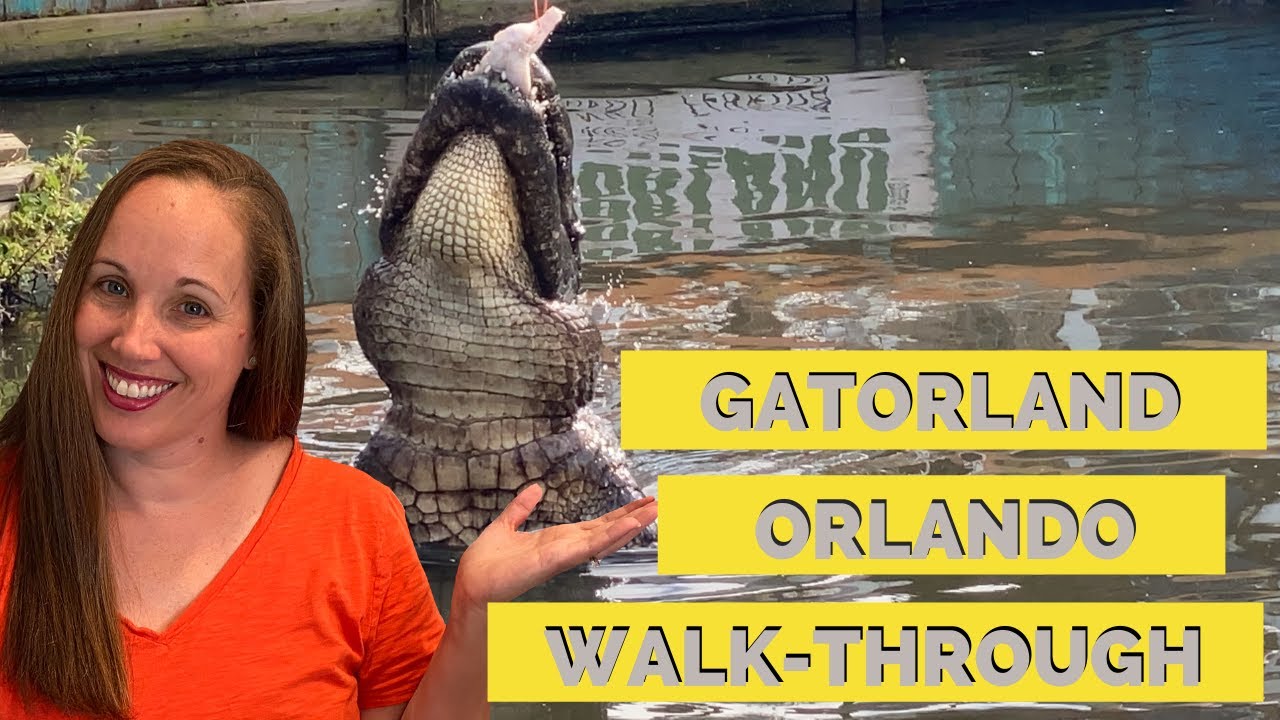 Gatorland Orlando Walk Through