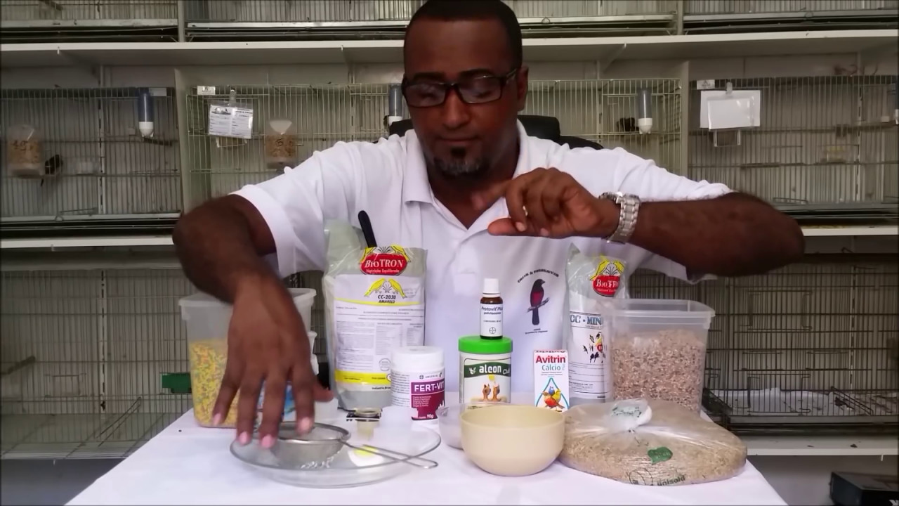 ALIMENTAÇÃO PARA FILHOTES DE COLEIRO