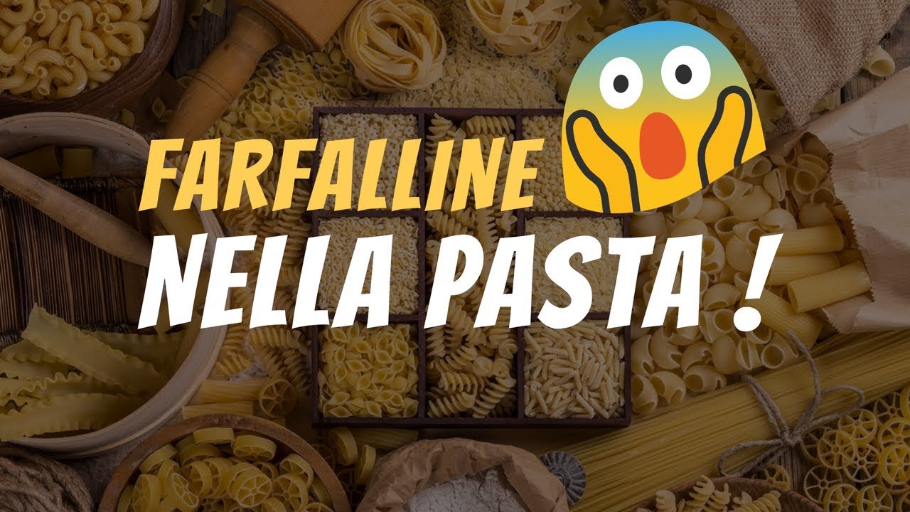 Farfalline nella pasta!!