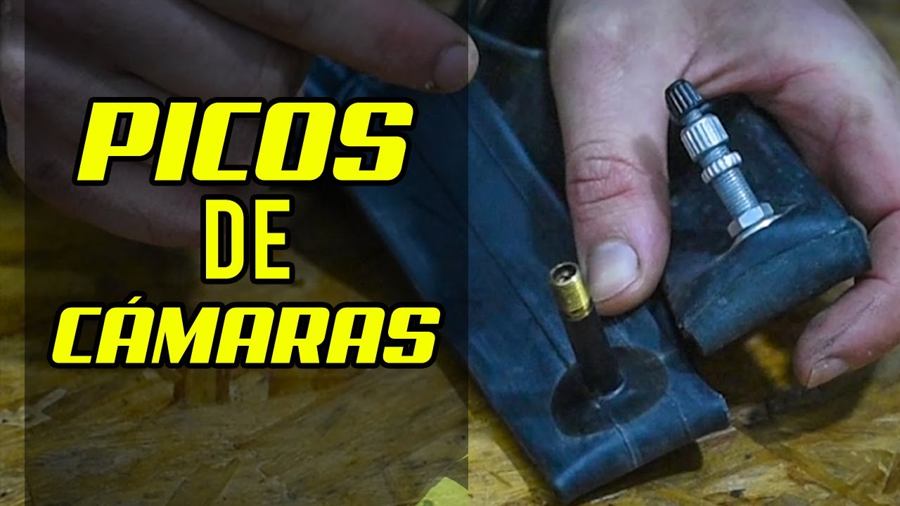Picos de cámaras ¡Aprendé cual es cual!