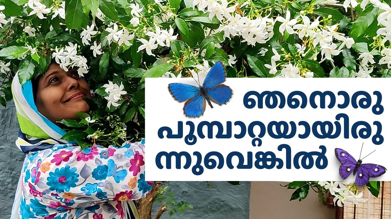 ഒരു പ്രഭാത സവാരി | Morning Vlog | Salu Plus