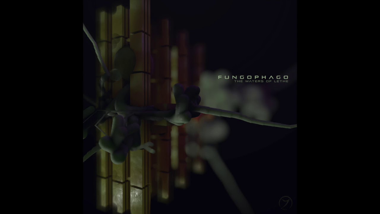 Fungophago & pHaSenVerScHiEbunGeN - Teachings in Silence