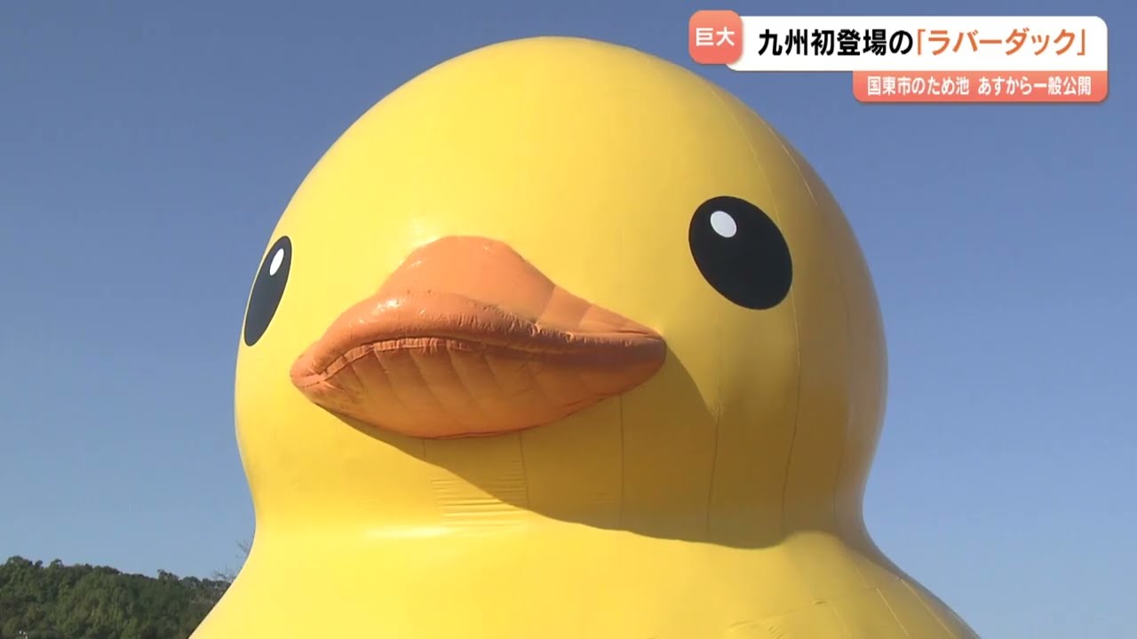 巨大アヒル「ラバーダック」九州初上陸　国東半島芸術文化祭の目玉展示