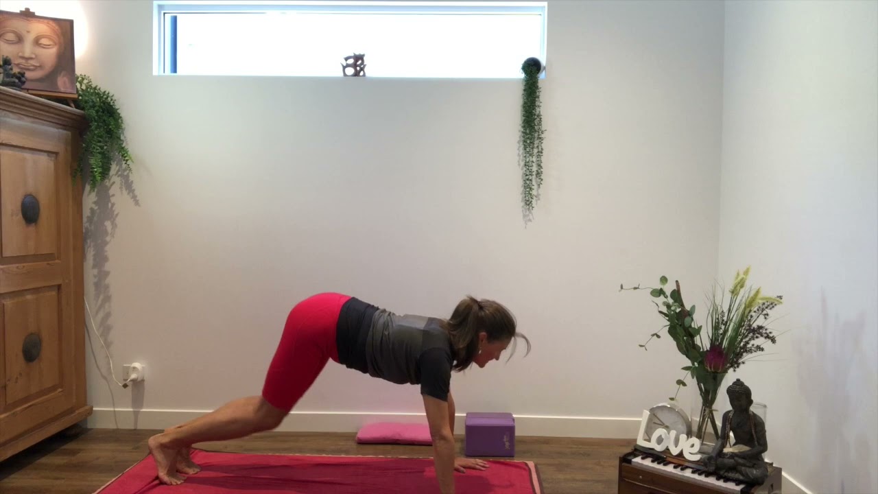 Triyoga deutsch geführt mit  Dagmar Hirsch Level 2