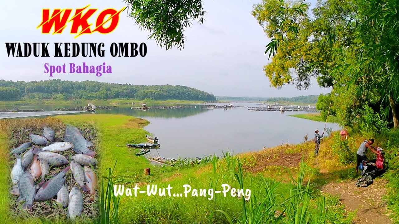 TERBUKTI‼️SPOT MANCING PANG PENG WAT WUT DI WKO | MANCING WKO #mancing #fishing #tilapia #wkoterbaru