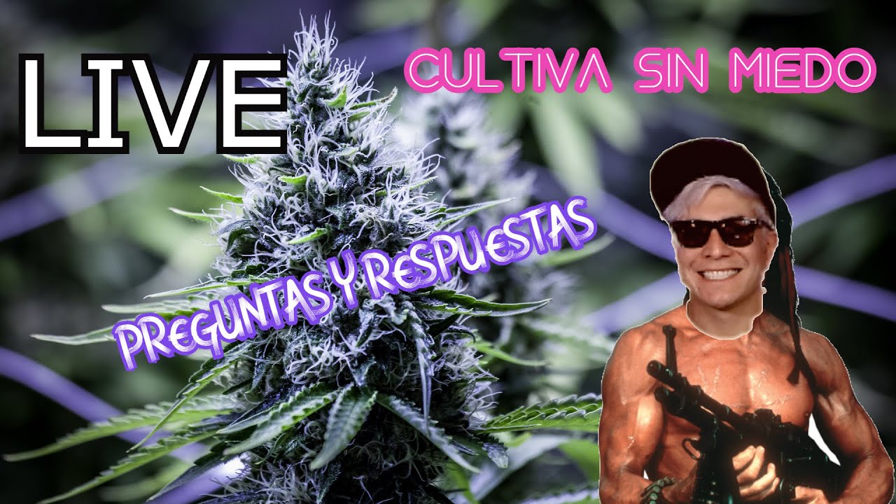 Preguntas y Respuestas De Cultivo - N&deg;29
