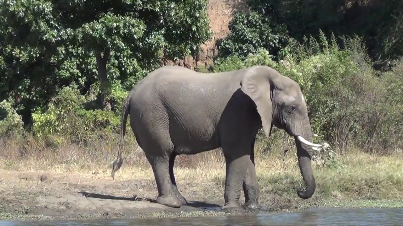 Kavinga Lodge and Hide