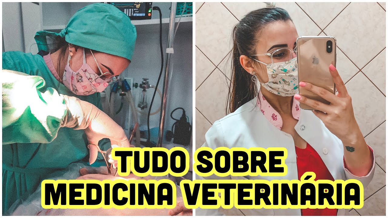 RESPONDENDO PERGUNTAS sobre MEDICINA VETERINÁRIA