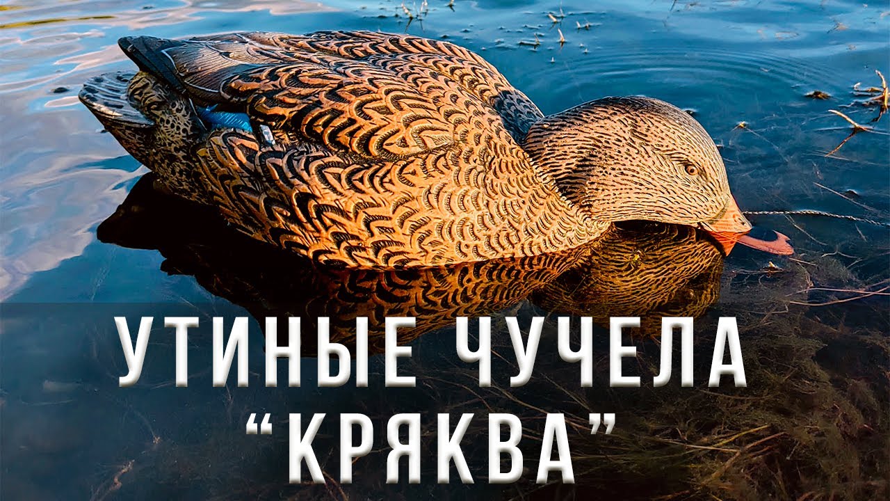 Утиные чучела 